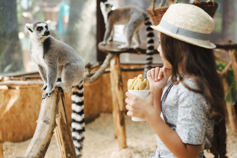 girl holding apple slices at zoom